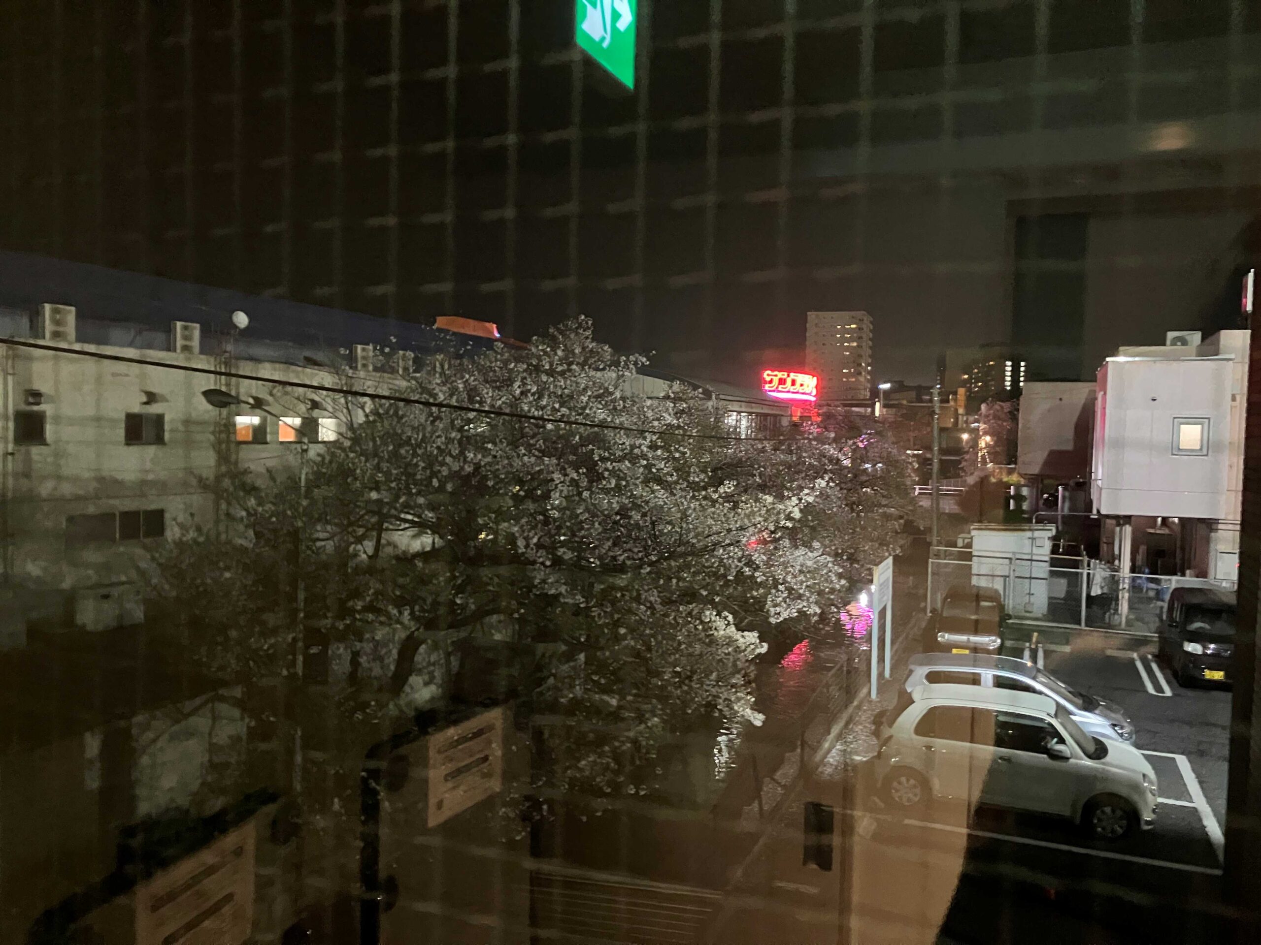 桜の木越しに見える煌々と輝くネオン、お分かりいただけるだろうか